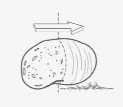Pulping — UNI-MASZ application category illustration