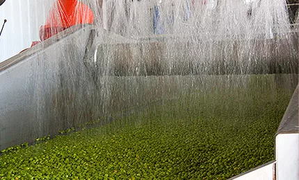 Washing and rinsing process — visual context from UNI-MASZ materials